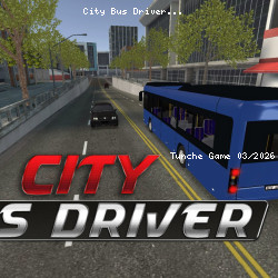City Bus Driver