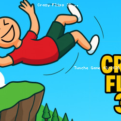 Crazy Flips 3D