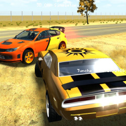 3D Car Simulator